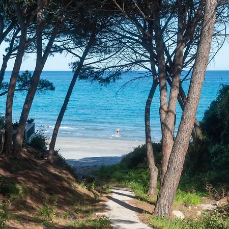 Апартаменти I Pini Di Fuile 'E Mare Орозей Екстер'єр фото